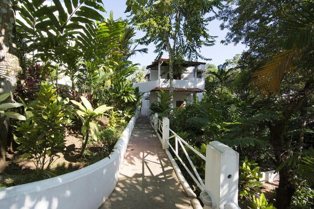 Hotel Casitas Eclipse Manuel Antonio Exterior foto